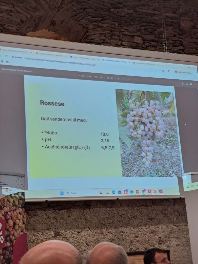A Sampeyre si parla di futuro del vino tra viticoltura eroica, PIWI e dealcolazione 5 A Sampeyre si parla di futuro del vino tra viticoltura eroica, PIWI e dealcolazione