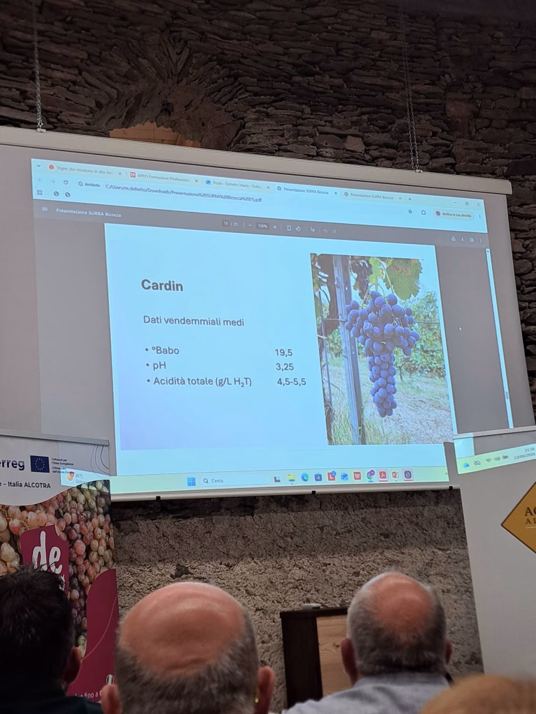 A Sampeyre si parla di futuro del vino tra viticoltura eroica, PIWI e dealcolazione 6 A Sampeyre si parla di futuro del vino tra viticoltura eroica, PIWI e dealcolazione