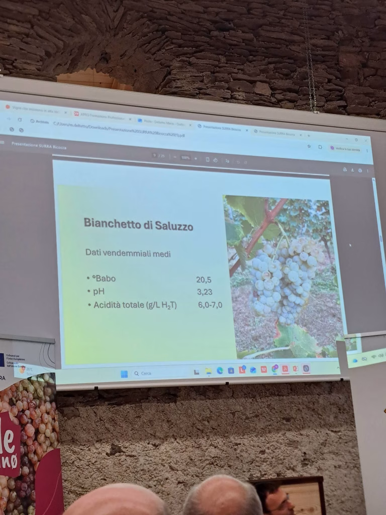 A Sampeyre si parla di futuro del vino tra viticoltura eroica, PIWI e dealcolazione 4 A Sampeyre si parla di futuro del vino tra viticoltura eroica, PIWI e dealcolazione