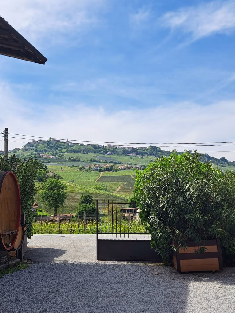 Piemonte Pairing Experience 2026, da Agricola Gian Piero Marrone il primo appuntamento della Strada del Barolo 1 Piemonte Pairing Experience 2026, da Agricola Gian Piero Marrone il primo appuntamento della Strada del Barolo
