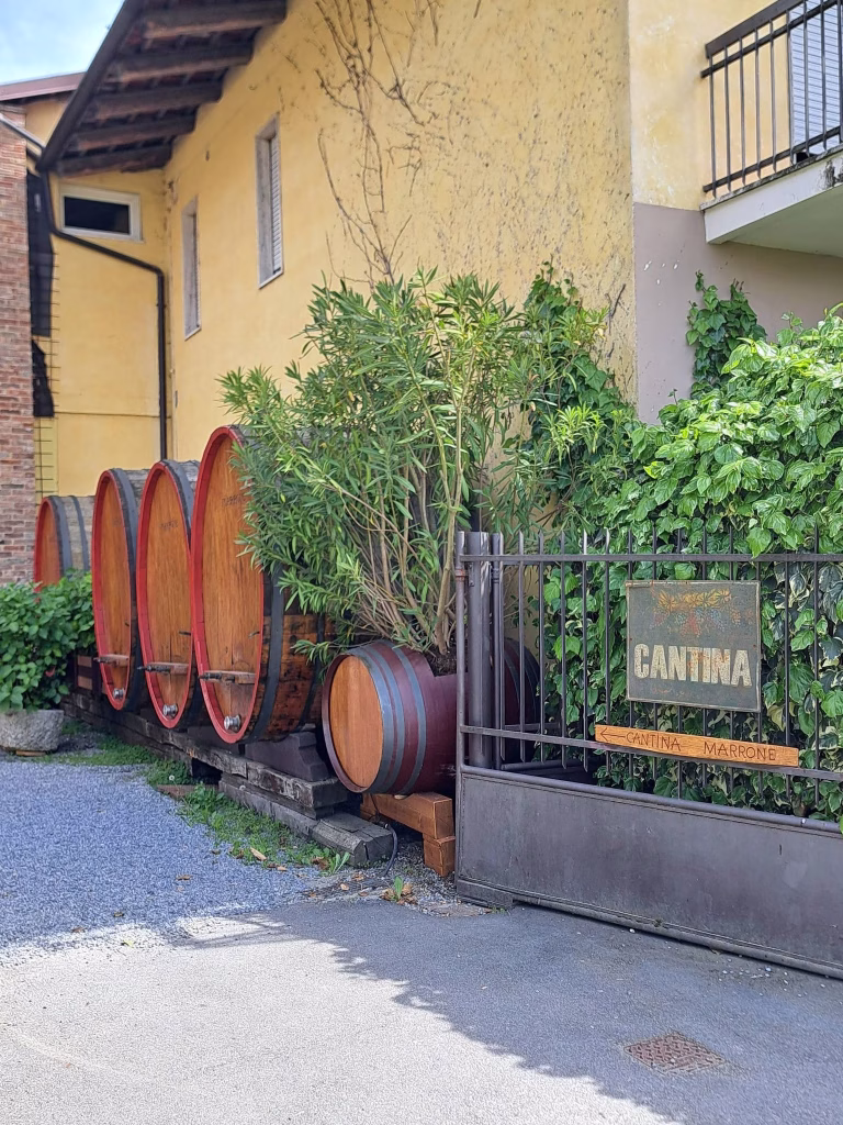 Piemonte Pairing Experience 2026, da Agricola Gian Piero Marrone il primo appuntamento della Strada del Barolo 3 Piemonte Pairing Experience 2026, da Agricola Gian Piero Marrone il primo appuntamento della Strada del Barolo