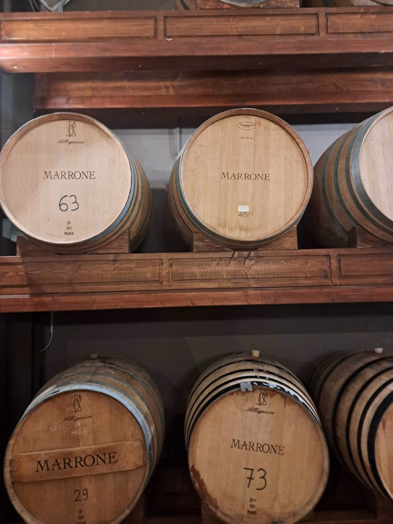 Piemonte Pairing Experience 2026, da Agricola Gian Piero Marrone il primo appuntamento della Strada del Barolo 5 Piemonte Pairing Experience 2026, da Agricola Gian Piero Marrone il primo appuntamento della Strada del Barolo