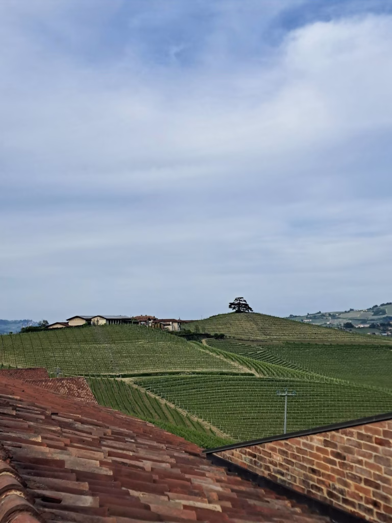 Piemonte Pairing Experience 2026, da Agricola Gian Piero Marrone il primo appuntamento della Strada del Barolo 34 Piemonte Pairing Experience 2026, da Agricola Gian Piero Marrone il primo appuntamento della Strada del Barolo