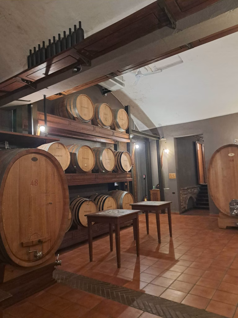 Piemonte Pairing Experience 2026, da Agricola Gian Piero Marrone il primo appuntamento della Strada del Barolo 31 Piemonte Pairing Experience 2026, da Agricola Gian Piero Marrone il primo appuntamento della Strada del Barolo
