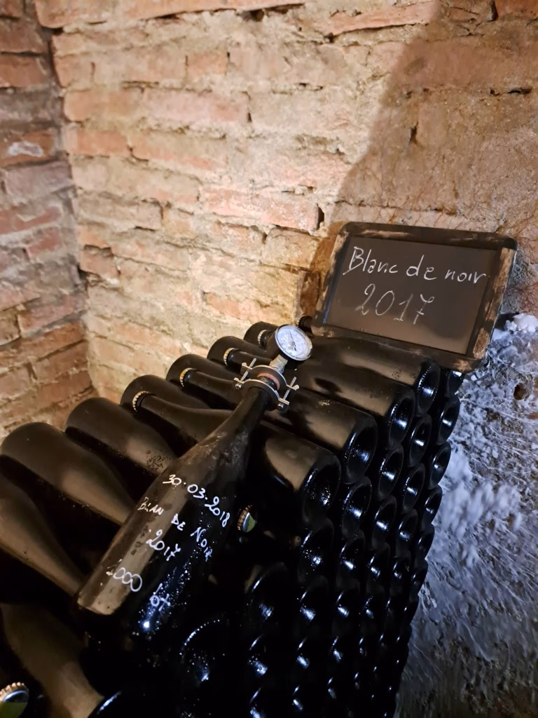 Sbarbatelle - Tenuta Marchesi Alfieri