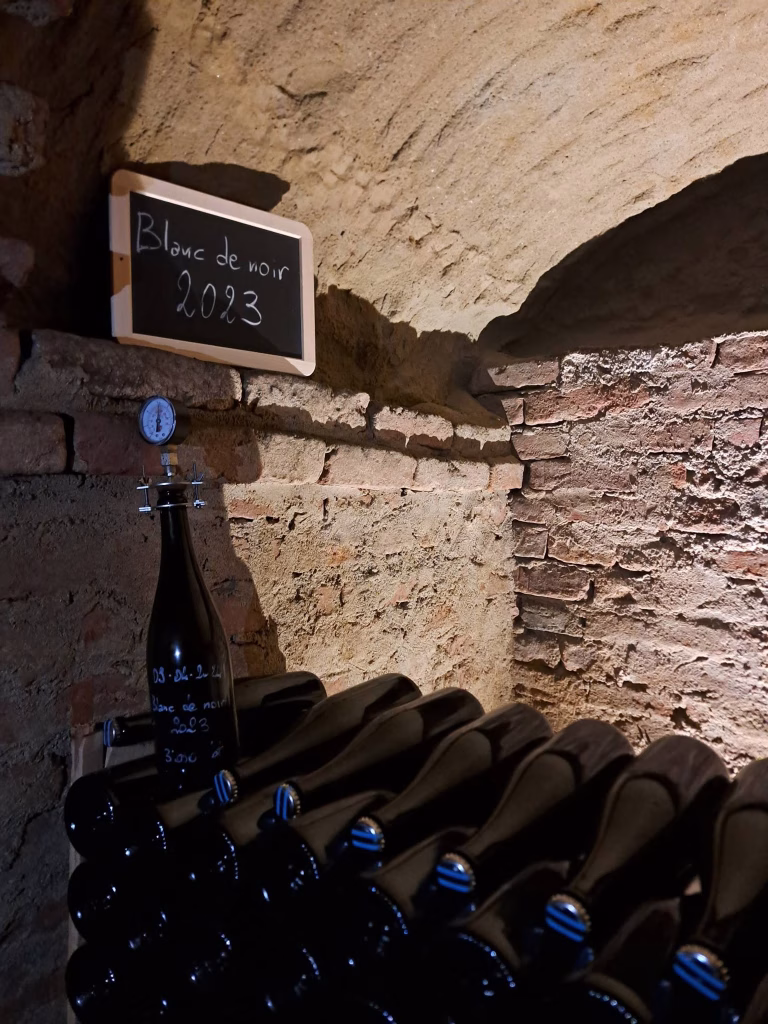 Sbarbatelle - Tenuta Marchesi Alfieri