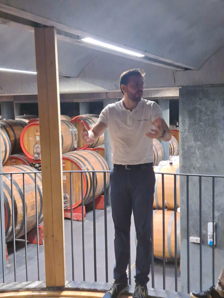 Gino Veronelli cento anni dopo: a Terre del Barolo l’incontro "L’uomo è nato per festeggiare la vita" 10 Gino Veronelli cento anni dopo: a Terre del Barolo l’incontro "L’uomo è nato per festeggiare la vita"