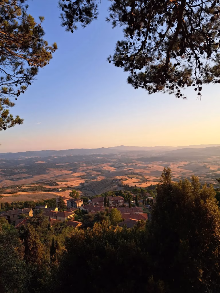 Volterra A.D. 1398, la città torna al Medioevo tra falconieri, sbandieratori e antichi mestieri 14 Volterra A.D. 1398, la città torna al Medioevo tra falconieri, sbandieratori e antichi mestieri