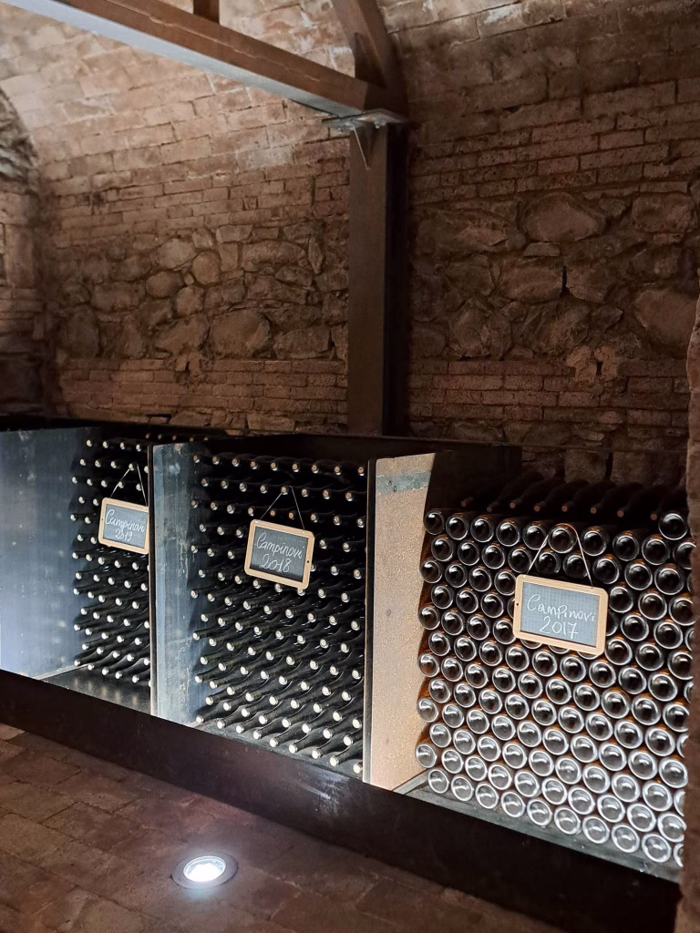 Dievole, a Vagliagli il Chianti Classico raccontato tra vigneti, cantina, cru e Wine Resort