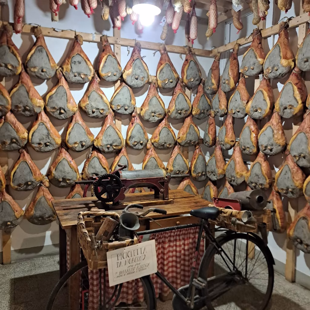 Greve in Chianti, dalla piazza del mercatale alle cantine sotterranee e alle mura di Montefioralle 7 Greve in Chianti, dalla piazza del mercatale alle cantine sotterranee e alle mura di Montefioralle