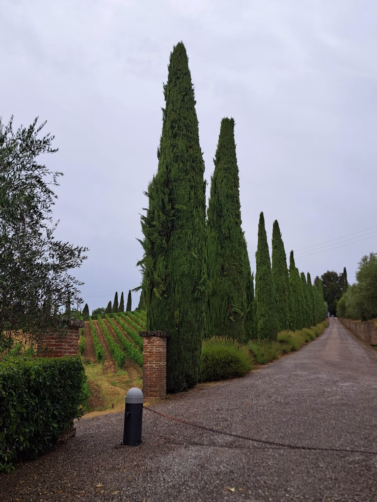 Dievole, a Vagliagli il Chianti Classico raccontato tra vigneti, cantina, cru e Wine Resort