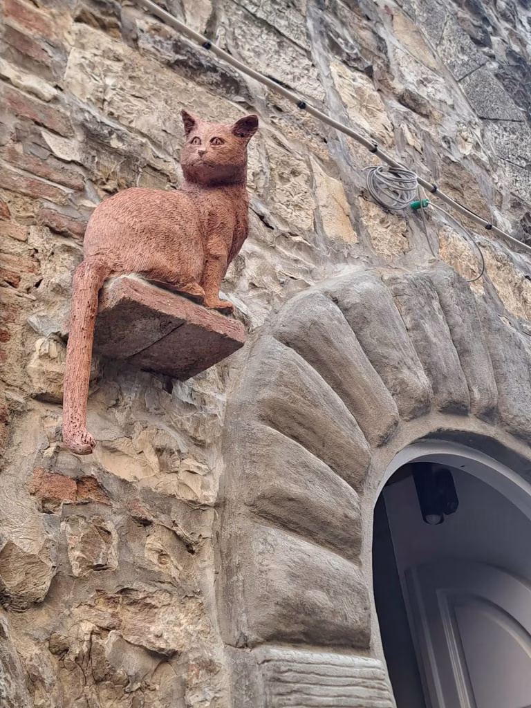 Greve in Chianti, dalla piazza del mercatale alle cantine sotterranee e alle mura di Montefioralle 10 Greve in Chianti, dalla piazza del mercatale alle cantine sotterranee e alle mura di Montefioralle
