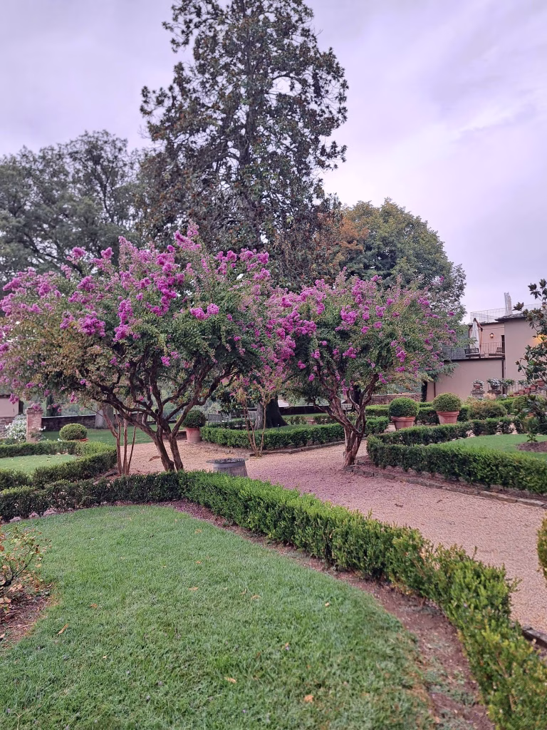 Dievole, a Vagliagli il Chianti Classico raccontato tra vigneti, cantina, cru e Wine Resort