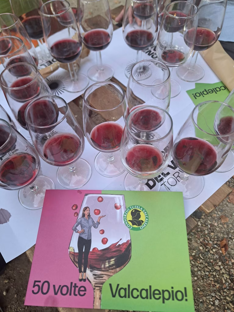 Vendemmia Reale, nei Giardini dei Musei Reali un viaggio tra vitigni e territori, 5 settembre 2026 3 Vendemmia Reale, nei Giardini dei Musei Reali un viaggio tra vitigni e territori, 5 settembre 2026