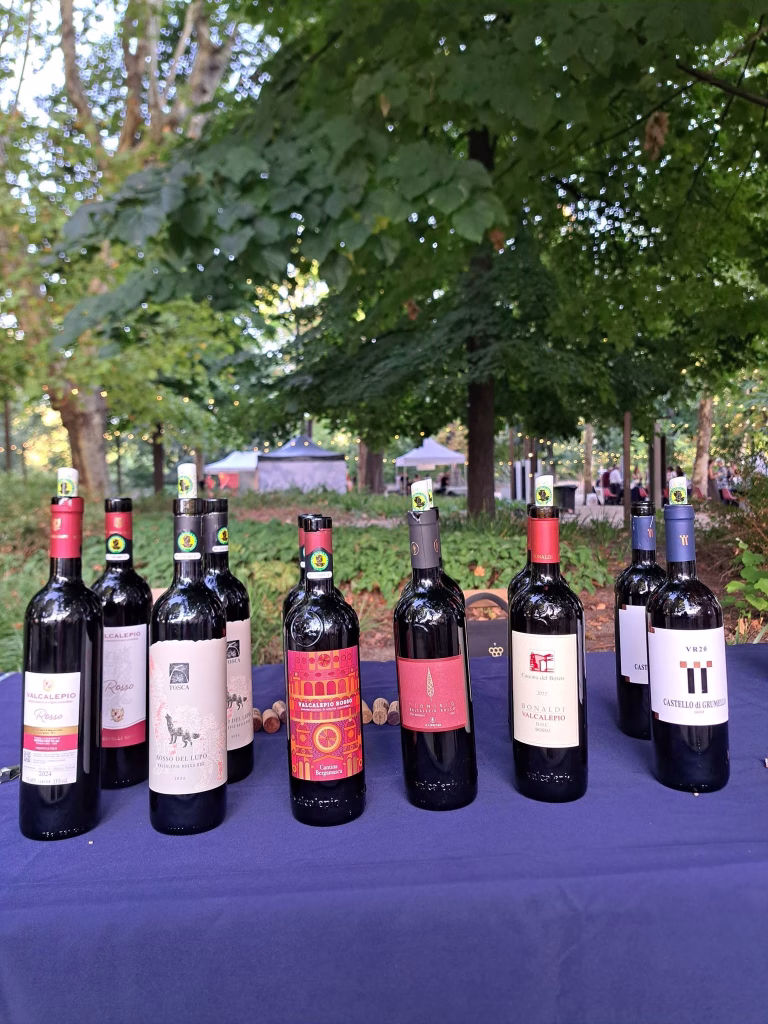 Vendemmia Reale, nei Giardini dei Musei Reali un viaggio tra vitigni e territori, 5 settembre 2026 2 Vendemmia Reale, nei Giardini dei Musei Reali un viaggio tra vitigni e territori, 5 settembre 2026
