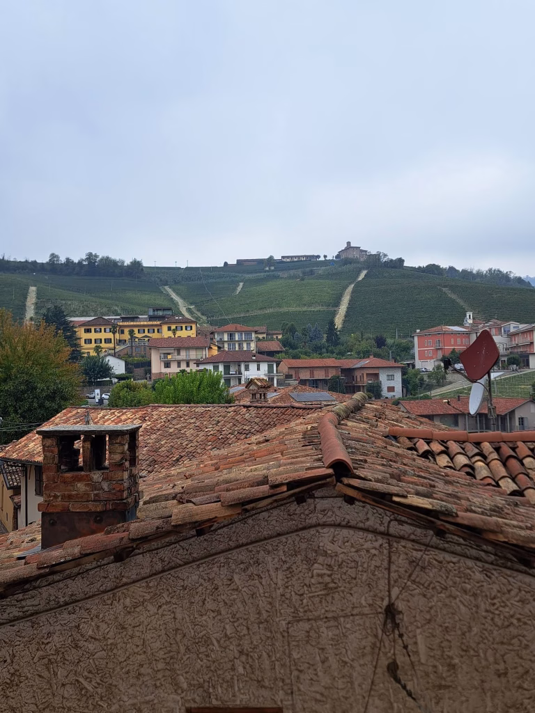 Barolo en primeur 2026, al Castello di Grinzane Cavour la sesta edizione dell’asta benefica il 23 ottobre 1 Barolo en primeur 2026, al Castello di Grinzane Cavour la sesta edizione dell’asta benefica il 23 ottobre