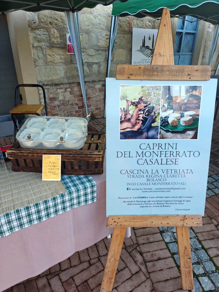 "EVO Wine Day 2025" a Olivola (AL), dove l&rsquo;Olio incontra il Vino