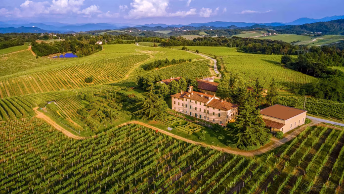 AL - Villa e vigneti di Tenuta la Marchesa