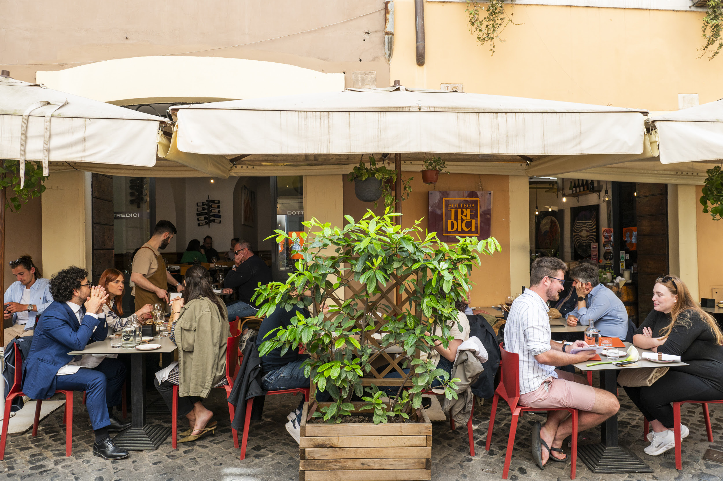 BOTTEGA TREDICI