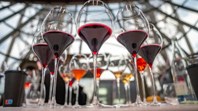 Consorzio Tutela Lambrusco Jules Verne 41