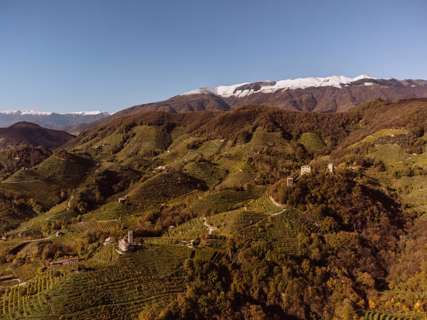 Dirupo, il Valdobbiadene DOCG di Andreola nato sulle vigne più ripide 1 Rive di COL SAN MARTINO