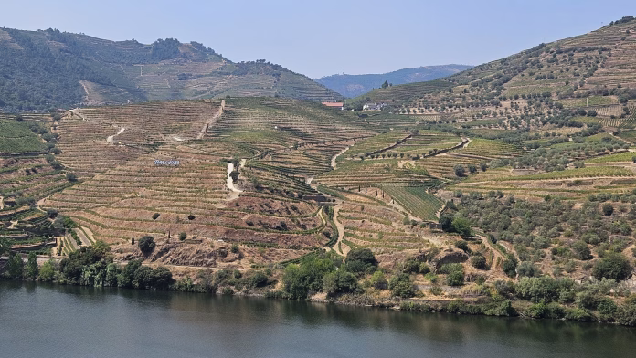 Valle del Douro in Portogallo
