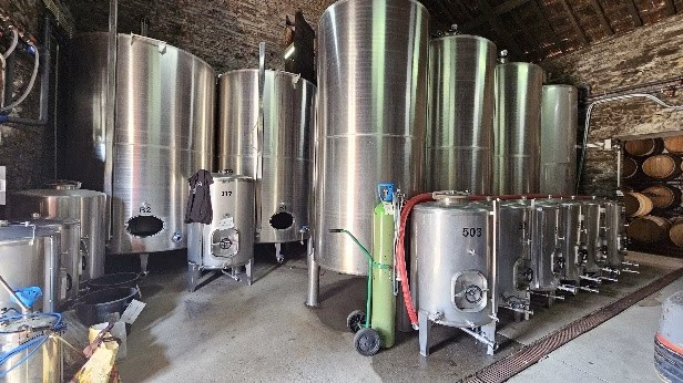 La Valle del Douro in Portogallo: dove le Vigne sembrano danzare 9 La Valle del Douro in Portogallo: dove le Vigne sembrano danzare