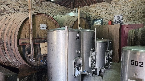 La Valle del Douro in Portogallo: dove le Vigne sembrano danzare 10 La Valle del Douro in Portogallo: dove le Vigne sembrano danzare