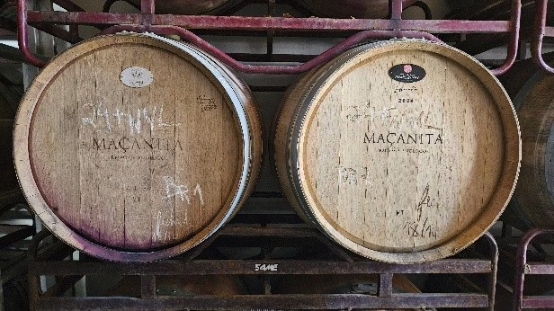 La Valle del Douro in Portogallo: dove le Vigne sembrano danzare 12 La Valle del Douro in Portogallo: dove le Vigne sembrano danzare