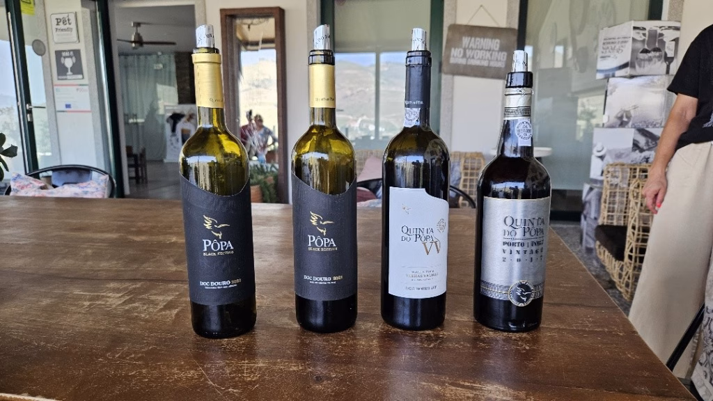 La Valle del Douro in Portogallo: dove le Vigne sembrano danzare 19 La Valle del Douro in Portogallo: dove le Vigne sembrano danzare