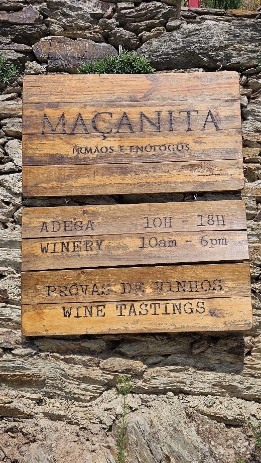 La Valle del Douro in Portogallo: dove le Vigne sembrano danzare 5 La Valle del Douro in Portogallo: dove le Vigne sembrano danzare