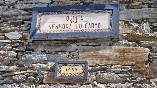 La Valle del Douro in Portogallo: dove le Vigne sembrano danzare 3 La Valle del Douro in Portogallo: dove le Vigne sembrano danzare