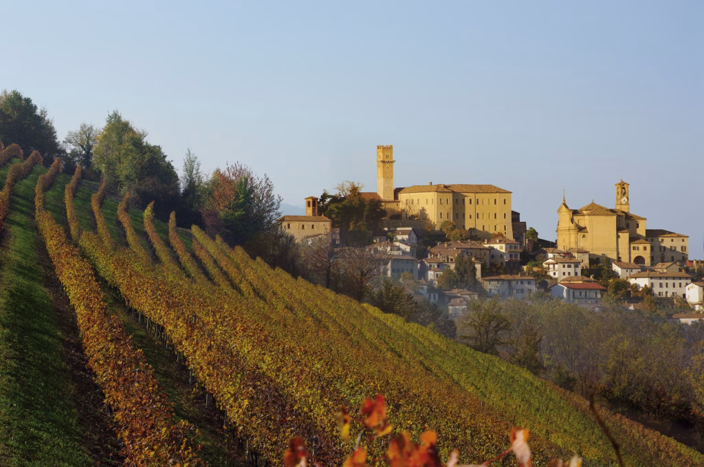 Murisengo Monferrato, il 16 e 23 novembre 2025 torna la Fiera Internazionale del Tartufo Bianco Trifola d’Or 1 Paesaggio grande