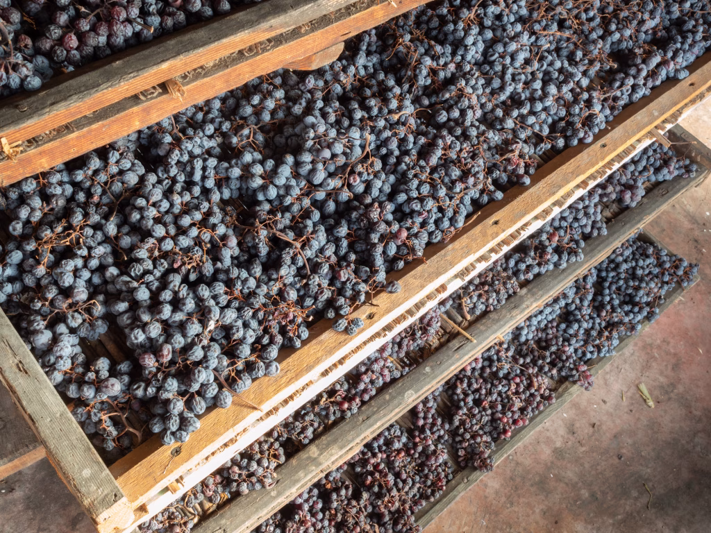 Il Recioto della Valpolicella entra tra i Presìdi Slow Food: un patrimonio da proteggere 1 SF0350169 - © Silvano Rucci