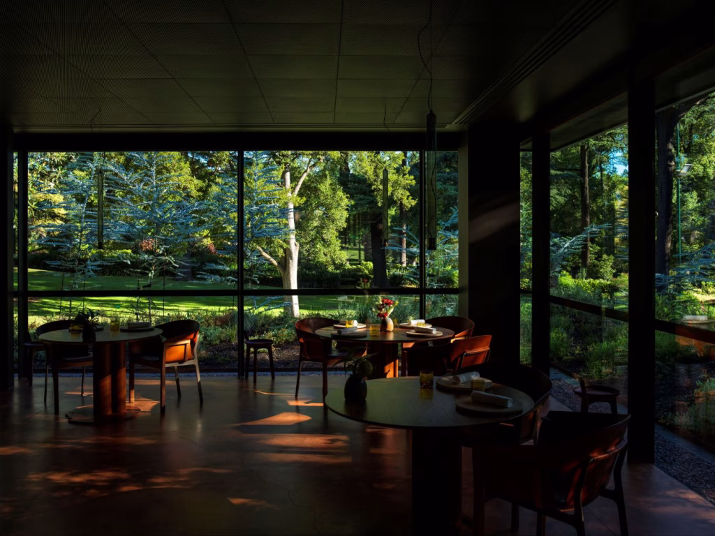 The 50 Best Restaurants 2026, il Visa One to Watch Award va a Yiaga di Melbourne 2 The 50 Best Restaurants 2026, il Visa One to Watch Award va a Yiaga di Melbourne