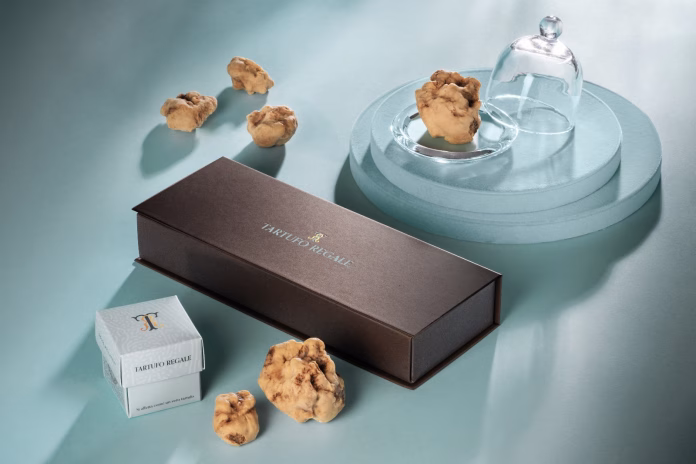 Tartufo Regale white