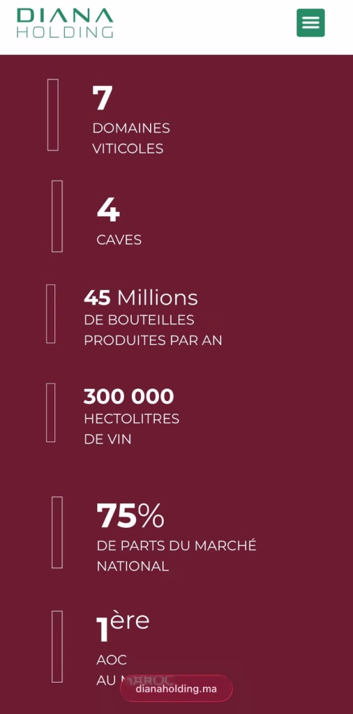 Un Vino senza popolo: la contraddizione del Marocco 3 Un Vino senza popolo: la contraddizione del Marocco