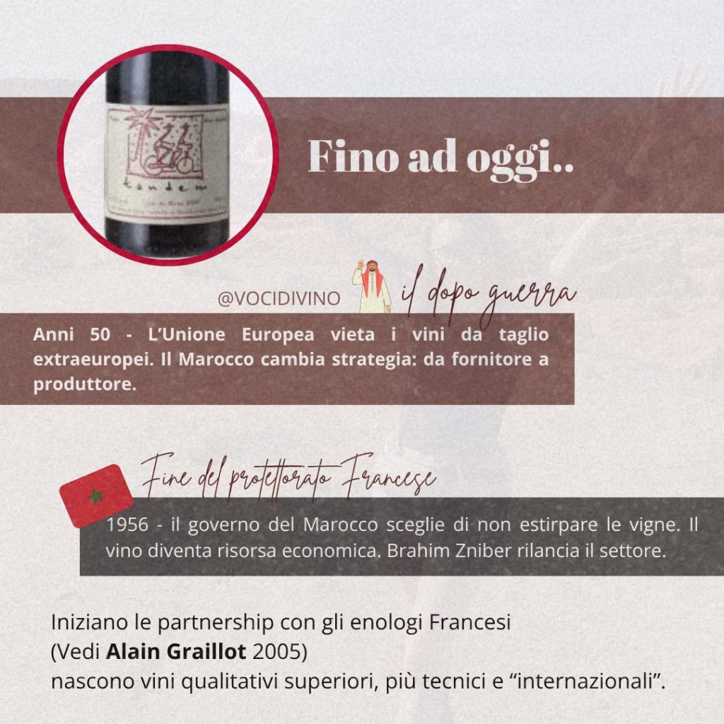 Un Vino senza popolo: la contraddizione del Marocco 2 Un Vino senza popolo: la contraddizione del Marocco