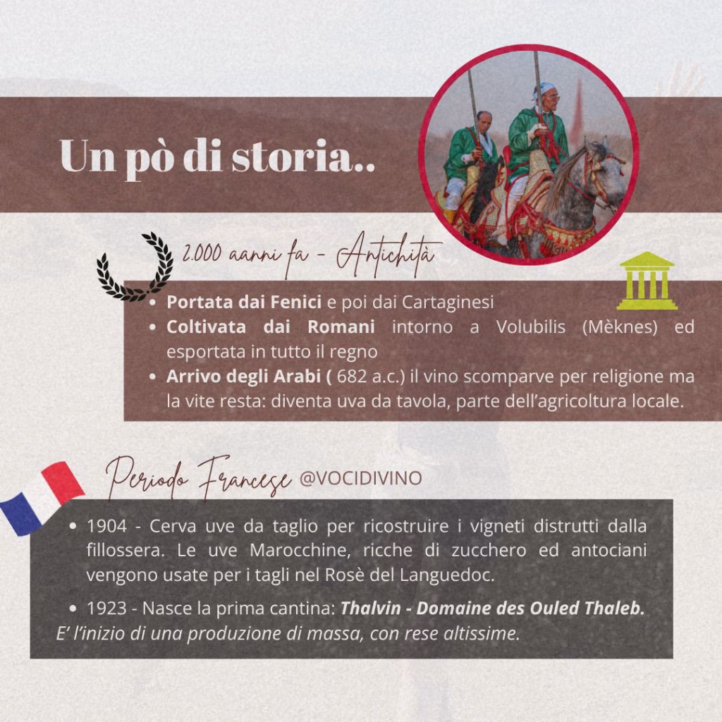 Un Vino senza popolo: la contraddizione del Marocco 1 Un Vino senza popolo: la contraddizione del Marocco