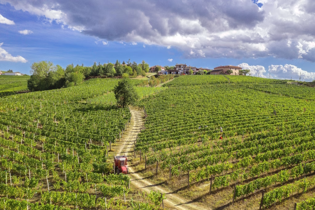 Desiderio, Confronto e Rispetto: la filosofia dell’Azienda Vitivinicola Gianni Doglia 1 Azienda Vitivinicola Gianni Doglia