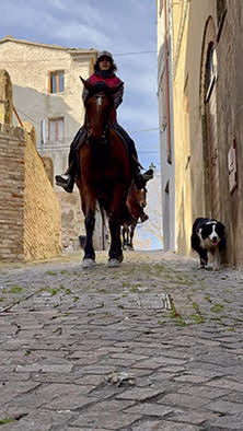 ButteroZone nelle Marche, itinerari a cavallo tra Montalfoglio, Fratte Rosa e il Cesano 1 ButteroZone nelle Marche, itinerari a cavallo tra Montalfoglio, Fratte Rosa e il Cesano